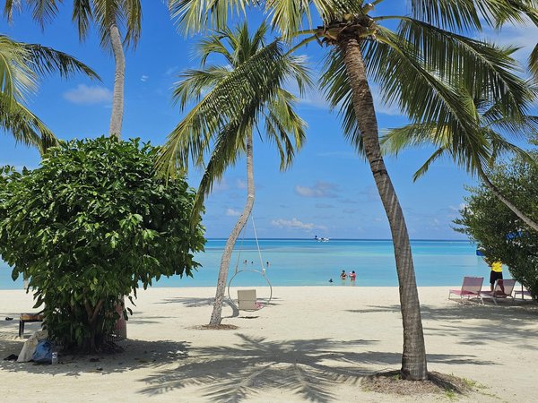 Explore the Top UK Destinations for Immersive Tours on the Evolution of British Political Movements