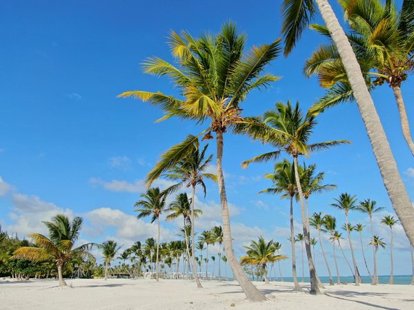 Enchanting UK Retreats: Explore Top Holiday Rentals Close to Literary Festivals