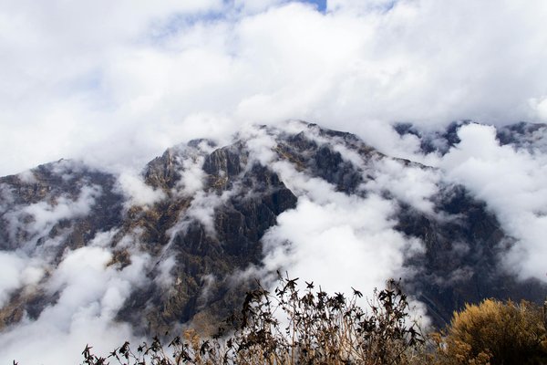 Top Strategies for Finding the Ideal Holiday Rental in the Scottish Lowlands for Your Historic Getaway